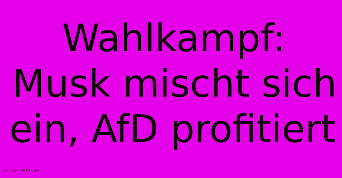 Wahlkampf: Musk Mischt Sich Ein, AfD Profitiert