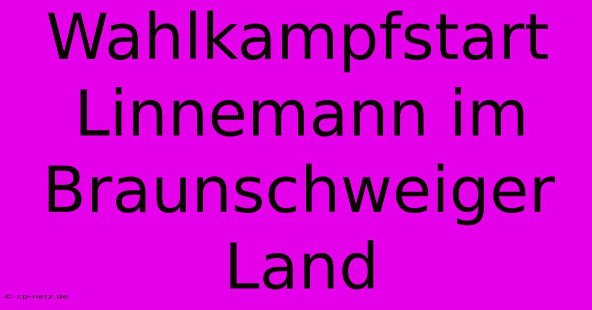 Wahlkampfstart Linnemann Im Braunschweiger Land