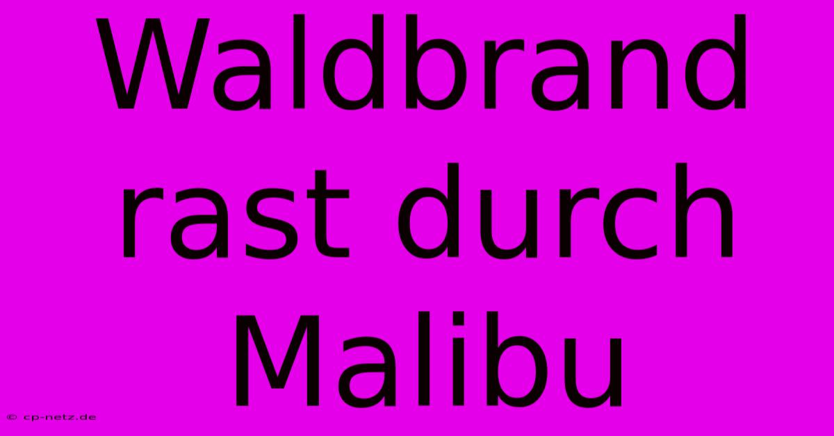 Waldbrand Rast Durch Malibu