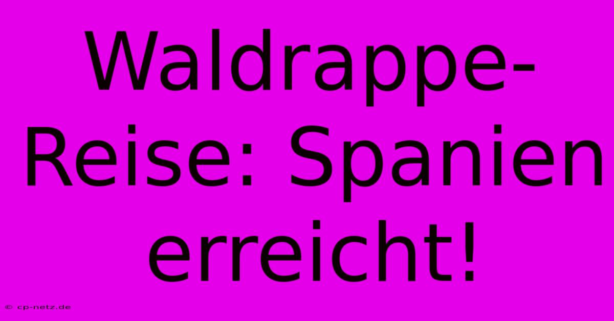 Waldrappe-Reise: Spanien Erreicht!