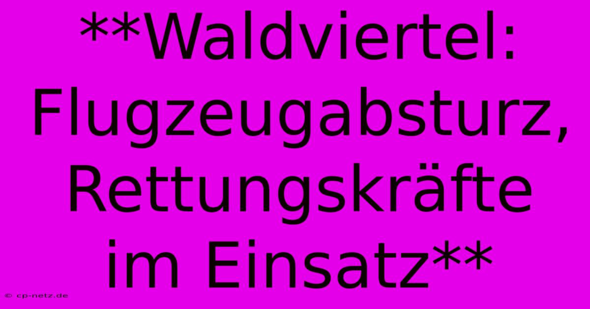 **Waldviertel: Flugzeugabsturz, Rettungskräfte Im Einsatz**