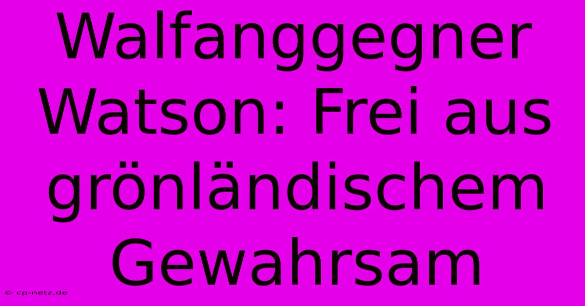 Walfanggegner Watson: Frei Aus Grönländischem Gewahrsam