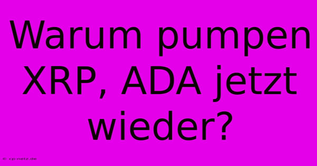 Warum Pumpen XRP, ADA Jetzt Wieder?