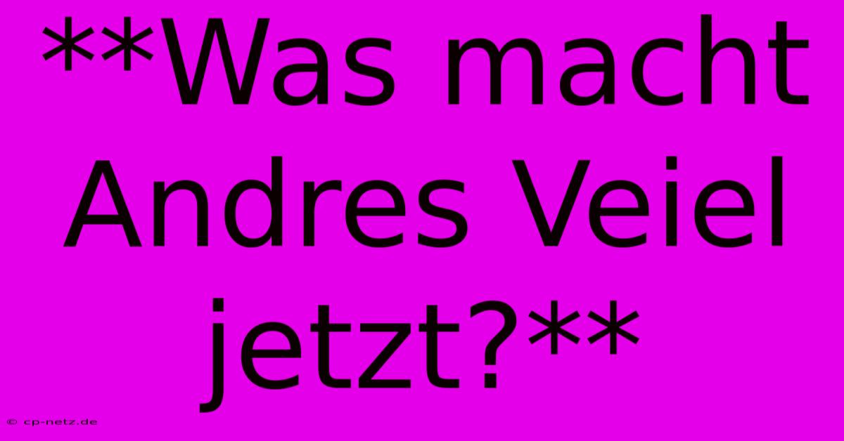 **Was Macht Andres Veiel Jetzt?**