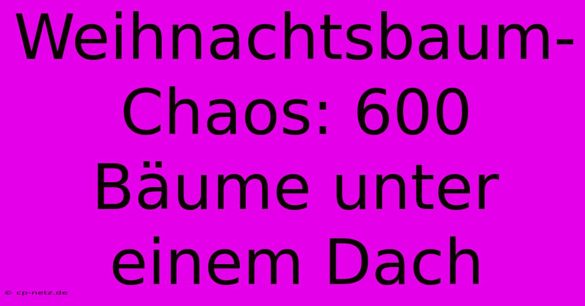 Weihnachtsbaum-Chaos: 600 Bäume Unter Einem Dach