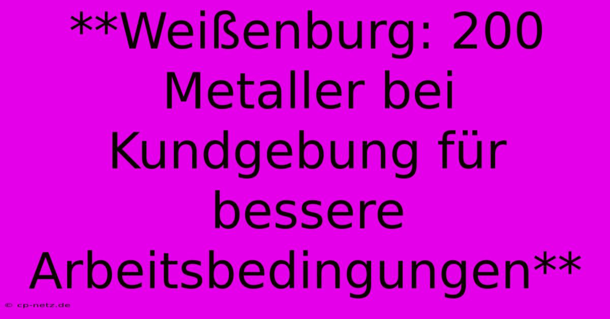 **Weißenburg: 200 Metaller Bei Kundgebung Für Bessere Arbeitsbedingungen** 