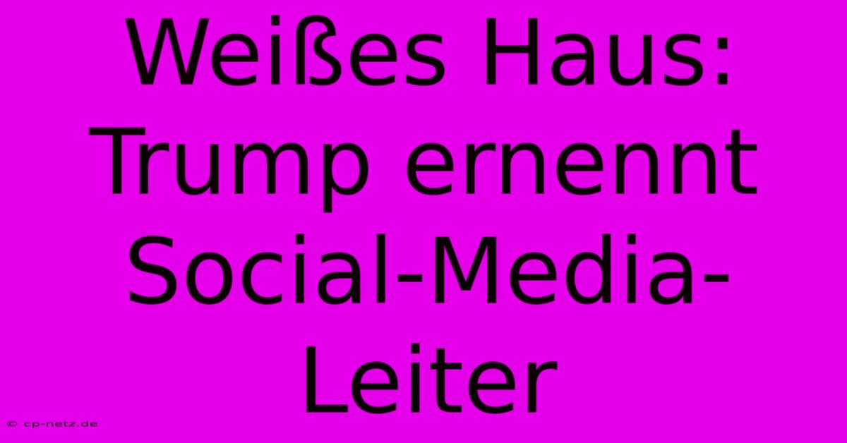 Weißes Haus: Trump Ernennt Social-Media-Leiter