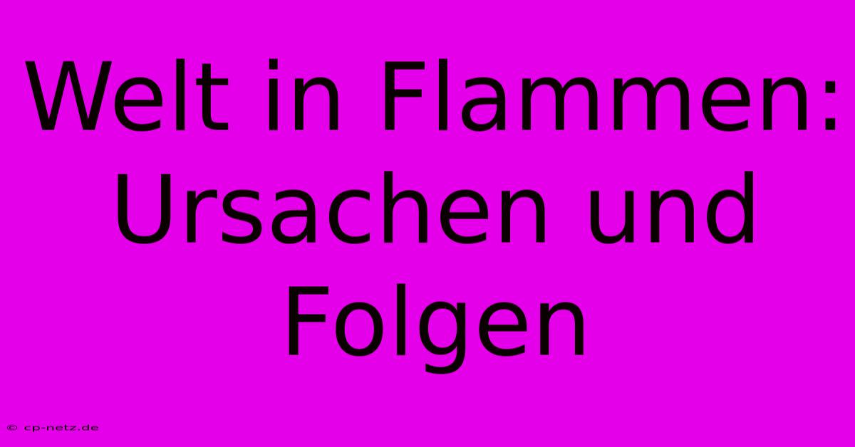 Welt In Flammen:  Ursachen Und Folgen