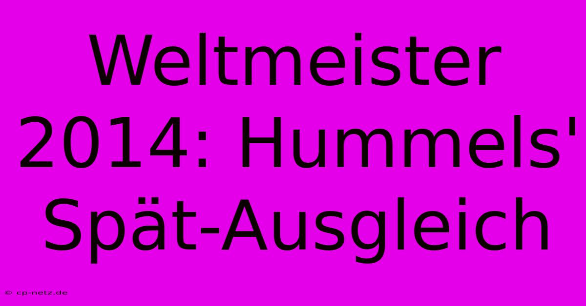 Weltmeister 2014: Hummels' Spät-Ausgleich