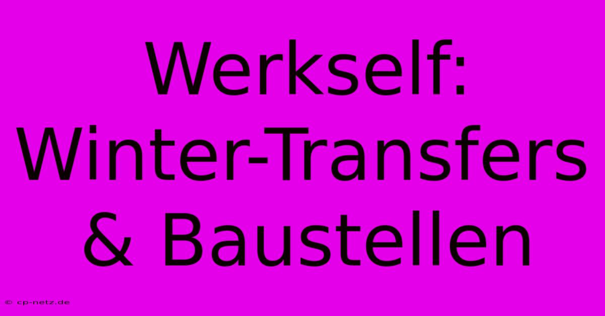 Werkself: Winter-Transfers & Baustellen