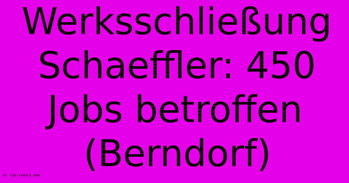 Werksschließung Schaeffler: 450 Jobs Betroffen (Berndorf)