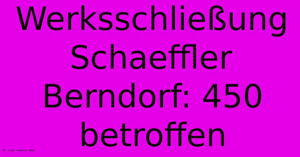 Werksschließung Schaeffler Berndorf: 450 Betroffen