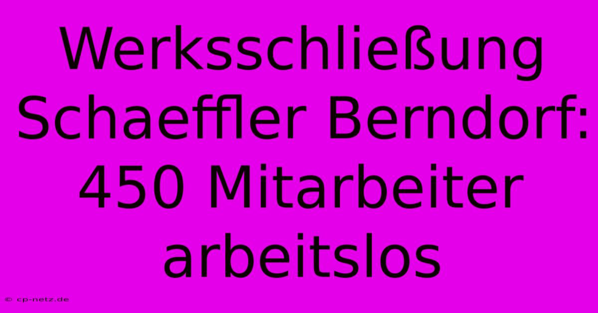 Werksschließung Schaeffler Berndorf: 450 Mitarbeiter Arbeitslos