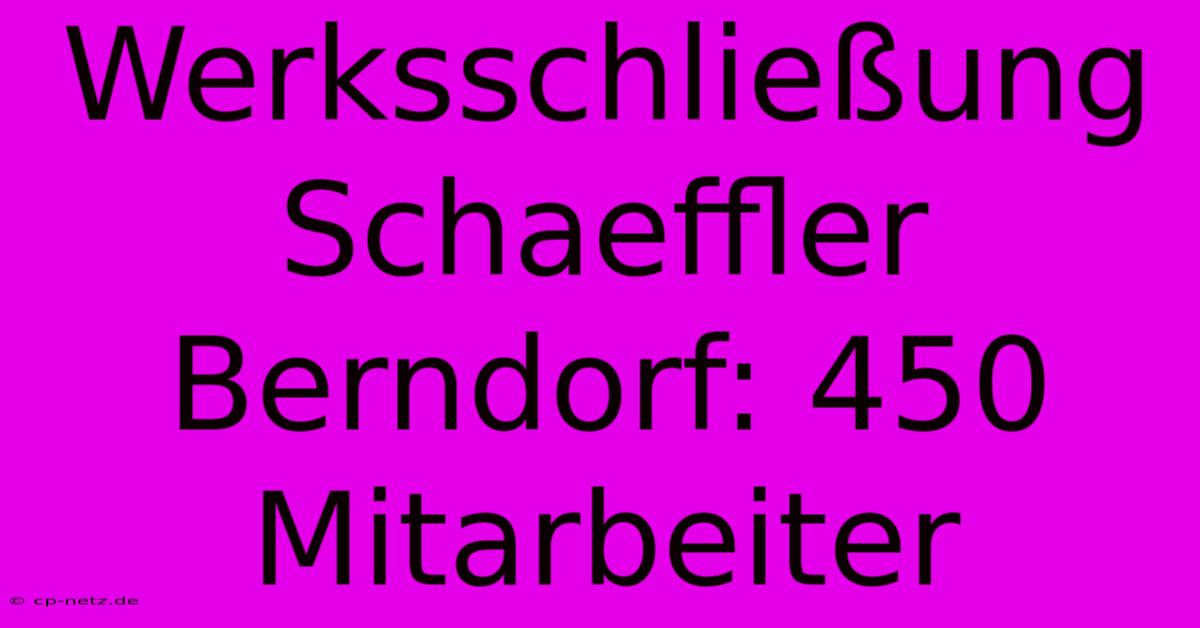 Werksschließung Schaeffler Berndorf: 450 Mitarbeiter