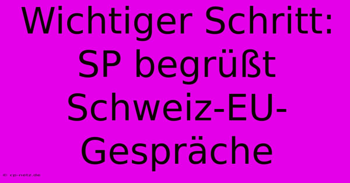 Wichtiger Schritt: SP Begrüßt Schweiz-EU-Gespräche