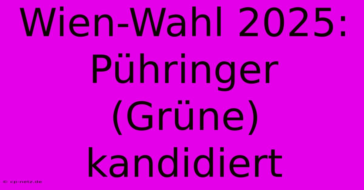 Wien-Wahl 2025: Pühringer (Grüne) Kandidiert