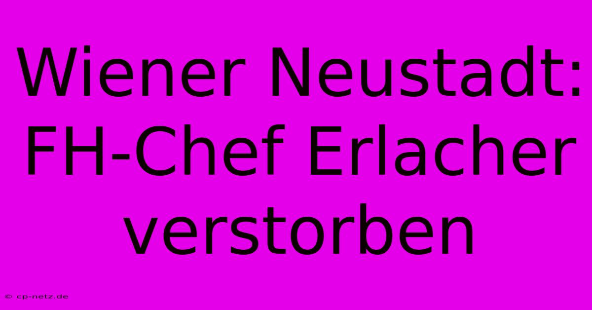 Wiener Neustadt: FH-Chef Erlacher Verstorben