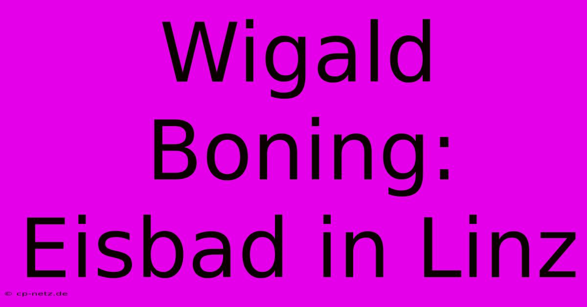 Wigald Boning: Eisbad In Linz