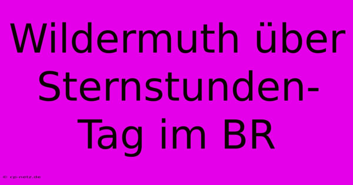 Wildermuth Über Sternstunden-Tag Im BR