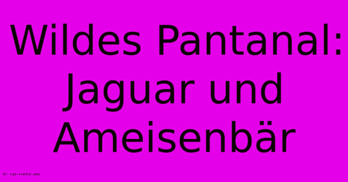 Wildes Pantanal: Jaguar Und Ameisenbär