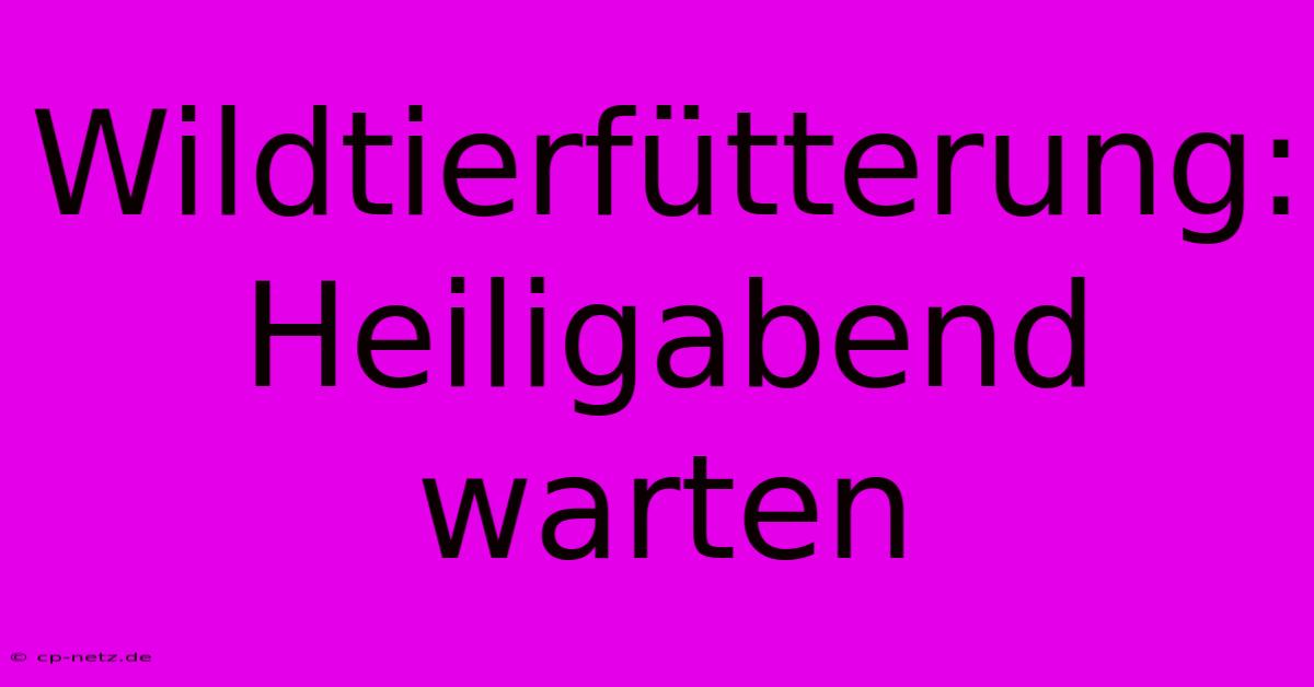 Wildtierfütterung: Heiligabend Warten