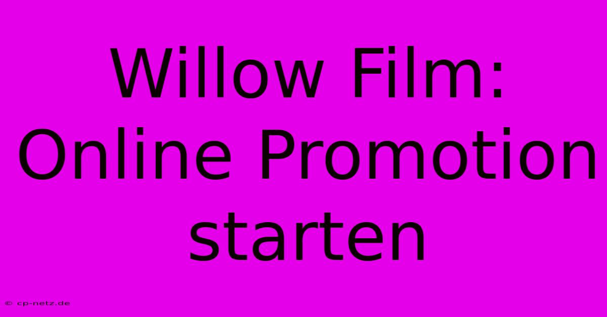 Willow Film: Online Promotion Starten