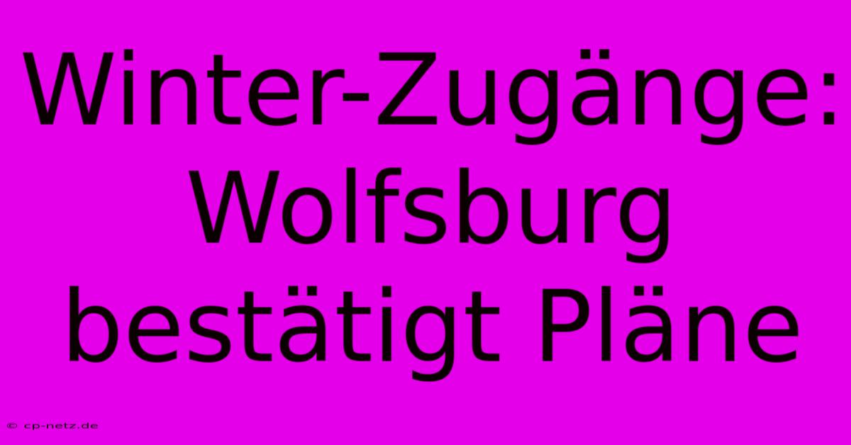 Winter-Zugänge: Wolfsburg Bestätigt Pläne