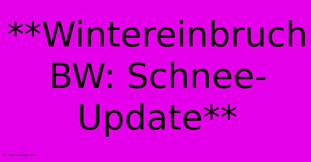 **Wintereinbruch BW: Schnee-Update**