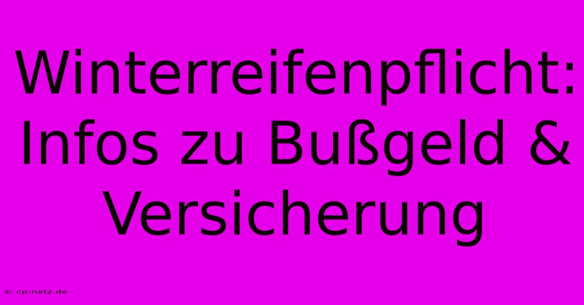 Winterreifenpflicht: Infos Zu Bußgeld & Versicherung