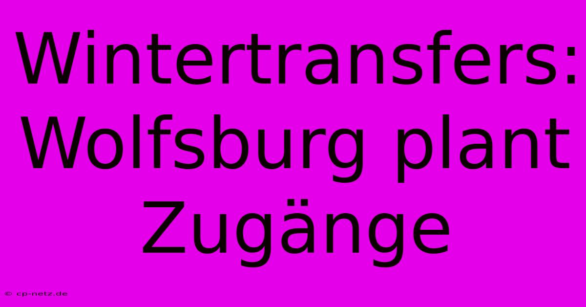 Wintertransfers: Wolfsburg Plant Zugänge