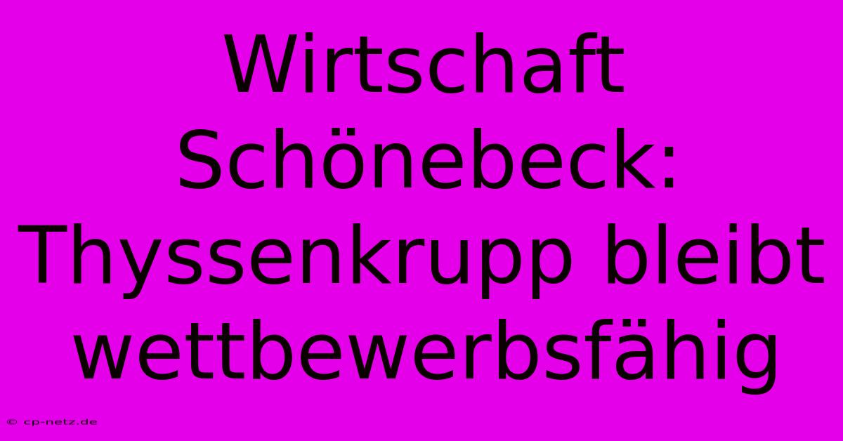 Wirtschaft Schönebeck: Thyssenkrupp Bleibt Wettbewerbsfähig