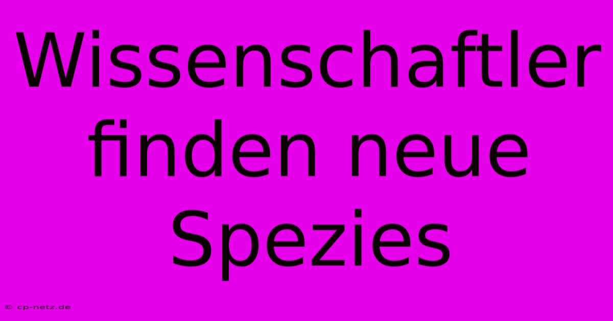 Wissenschaftler Finden Neue Spezies