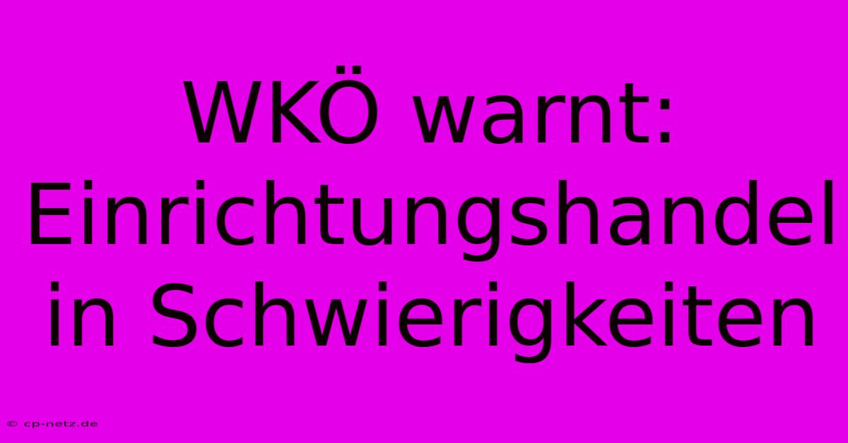 WKÖ Warnt: Einrichtungshandel In Schwierigkeiten