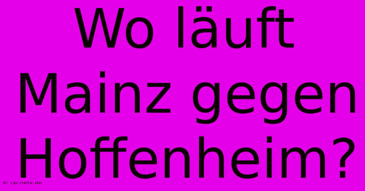 Wo Läuft Mainz Gegen Hoffenheim?