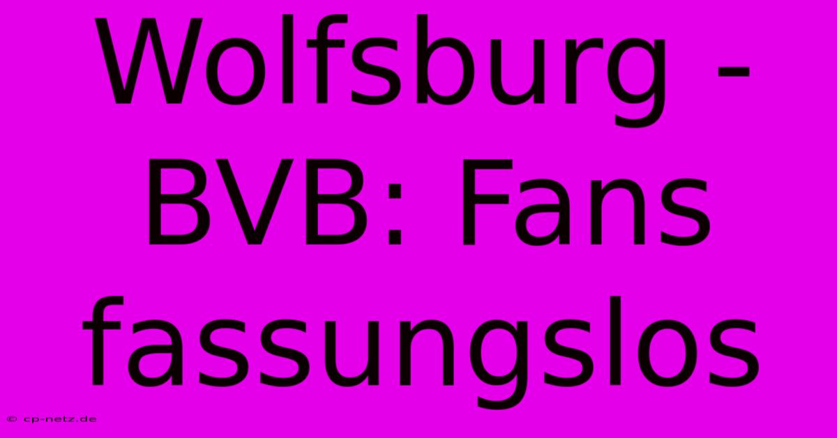 Wolfsburg - BVB: Fans Fassungslos