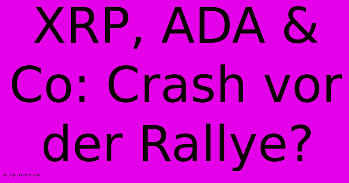 XRP, ADA & Co: Crash Vor Der Rallye?