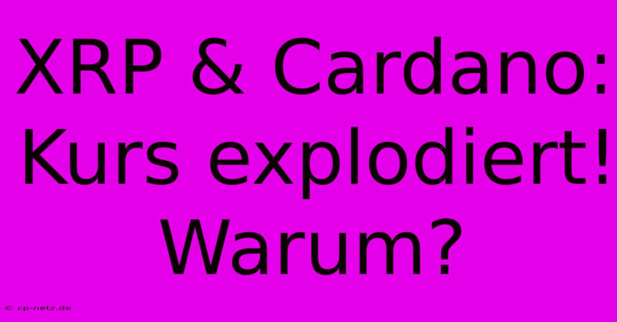 XRP & Cardano: Kurs Explodiert! Warum?