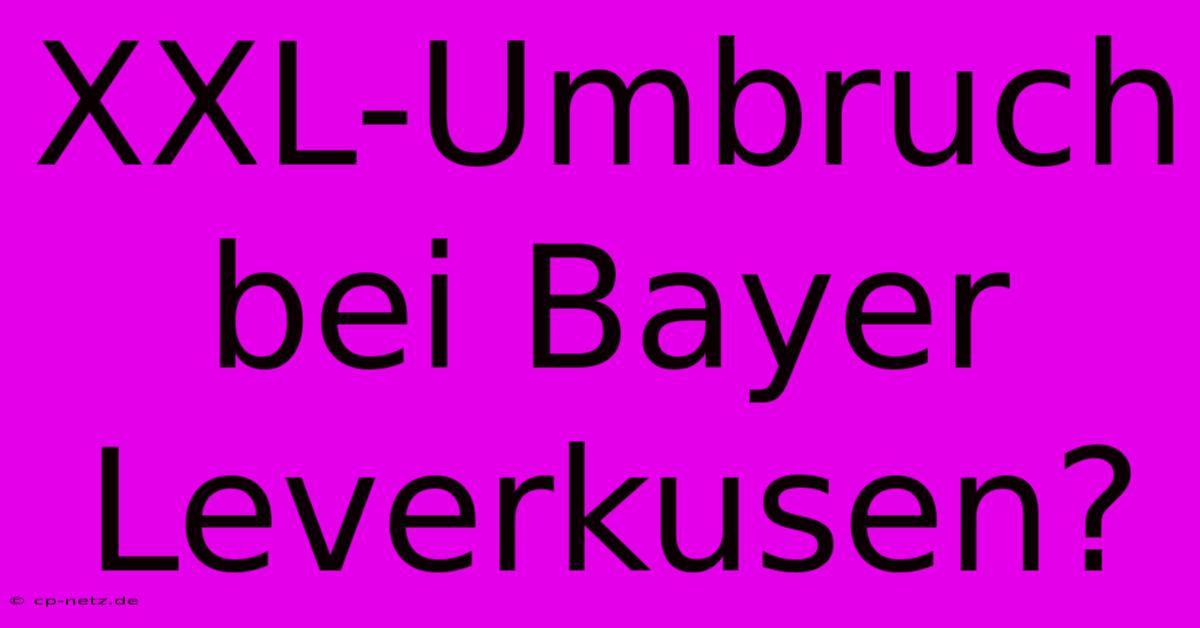 XXL-Umbruch Bei Bayer Leverkusen?