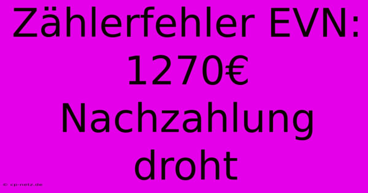 Zählerfehler EVN: 1270€ Nachzahlung Droht