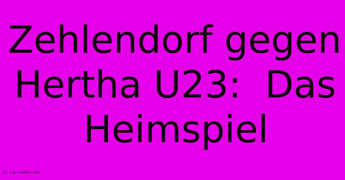 Zehlendorf Gegen Hertha U23:  Das Heimspiel