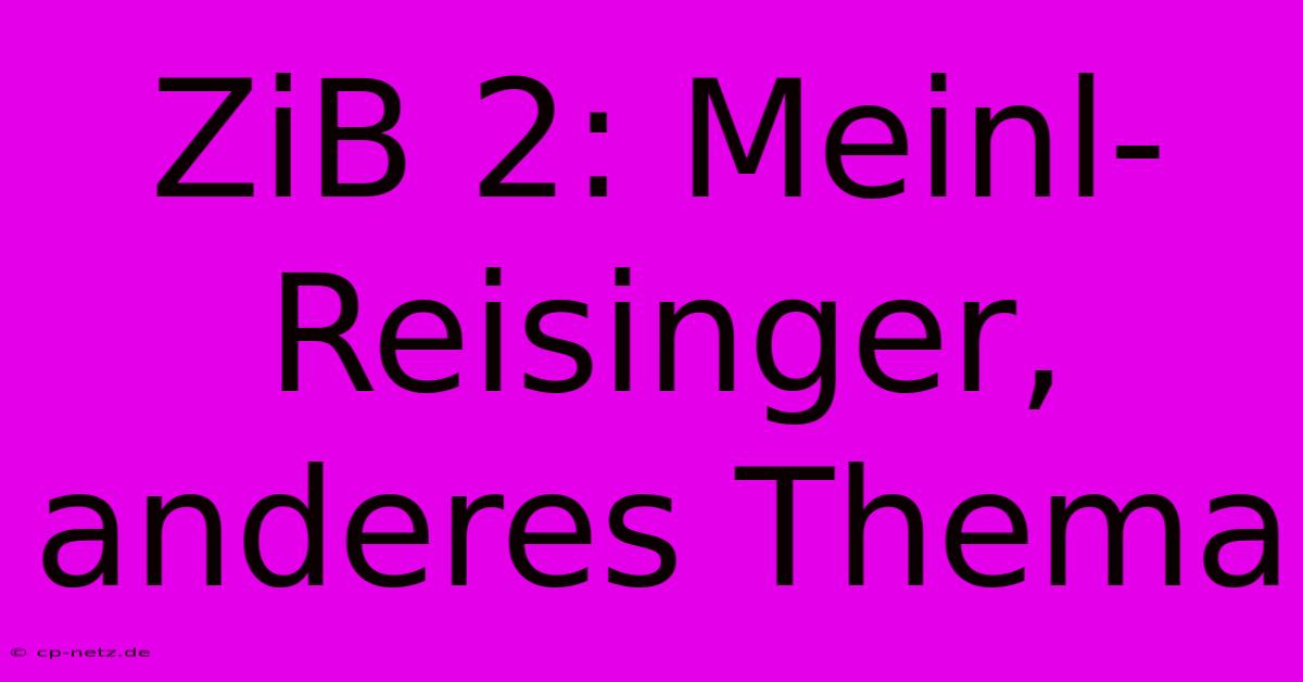 ZiB 2: Meinl-Reisinger, Anderes Thema