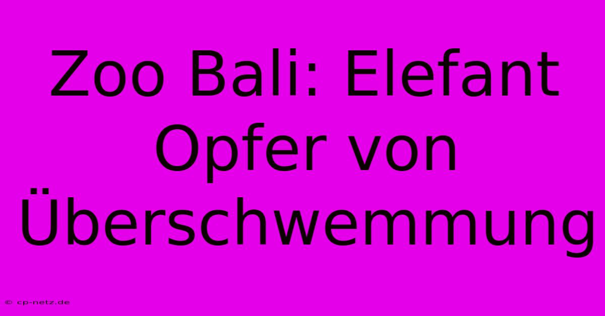 Zoo Bali: Elefant Opfer Von Überschwemmung