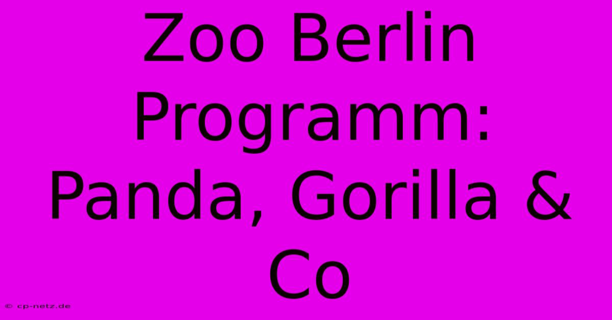 Zoo Berlin Programm: Panda, Gorilla & Co