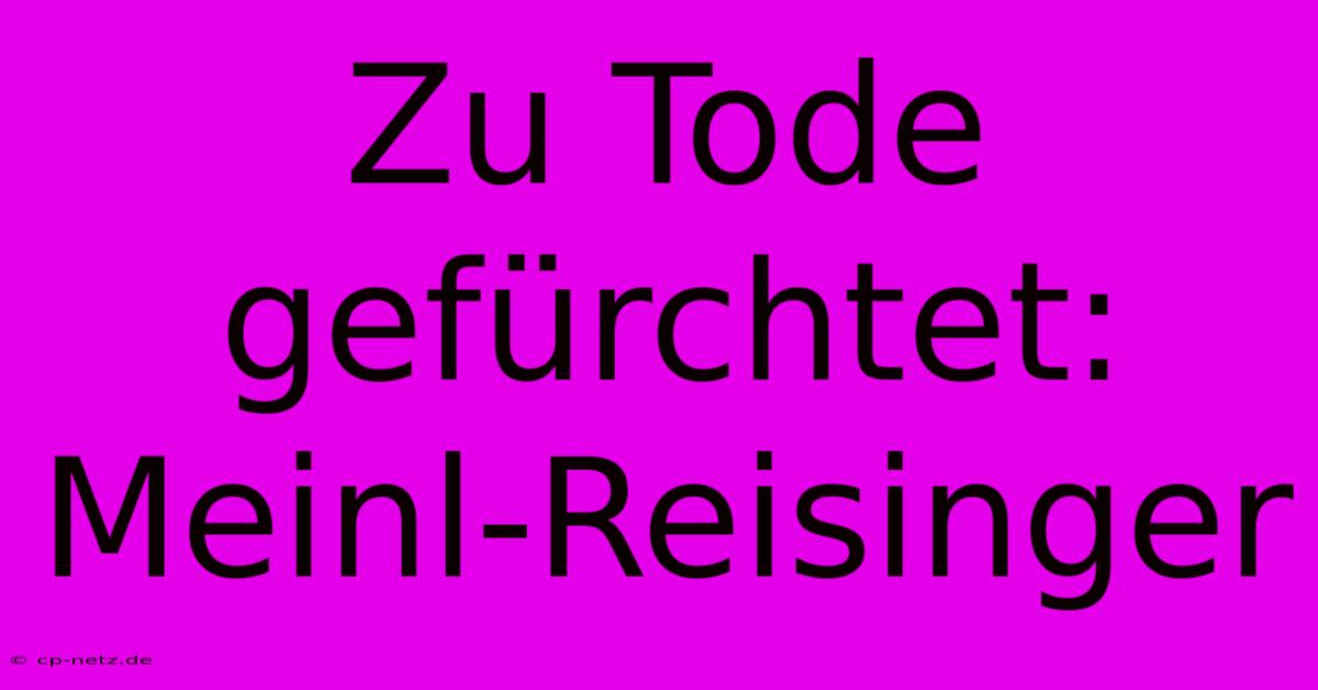 Zu Tode Gefürchtet: Meinl-Reisinger