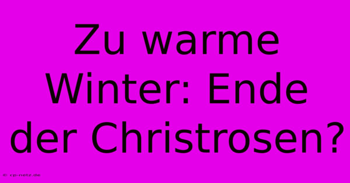 Zu Warme Winter: Ende Der Christrosen?