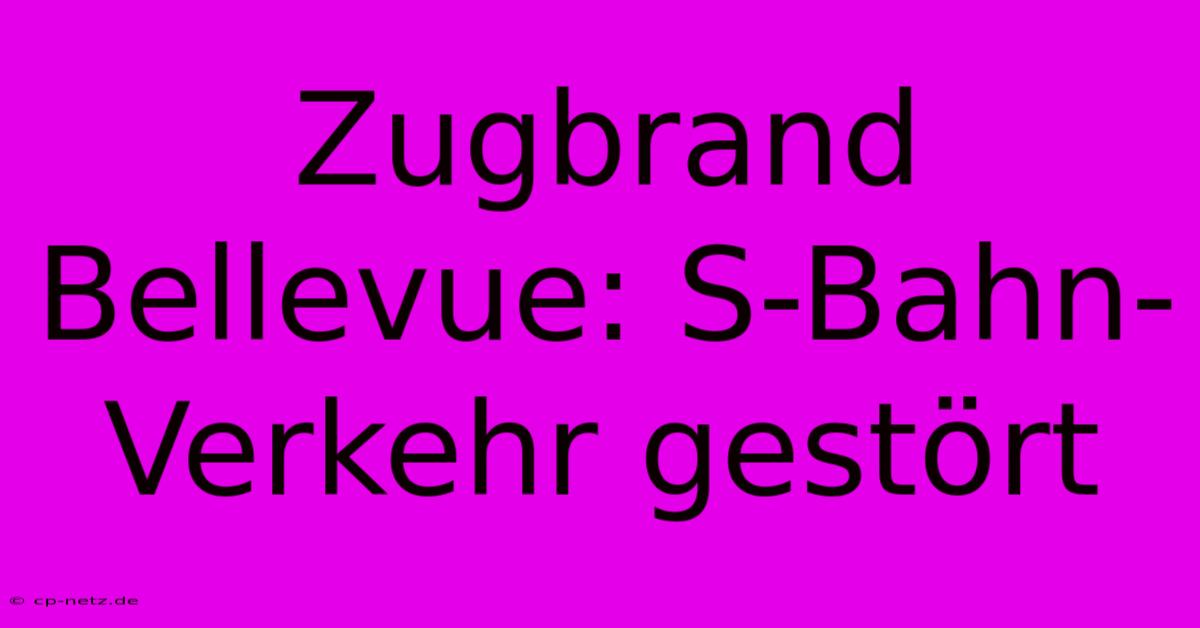 Zugbrand Bellevue: S-Bahn-Verkehr Gestört