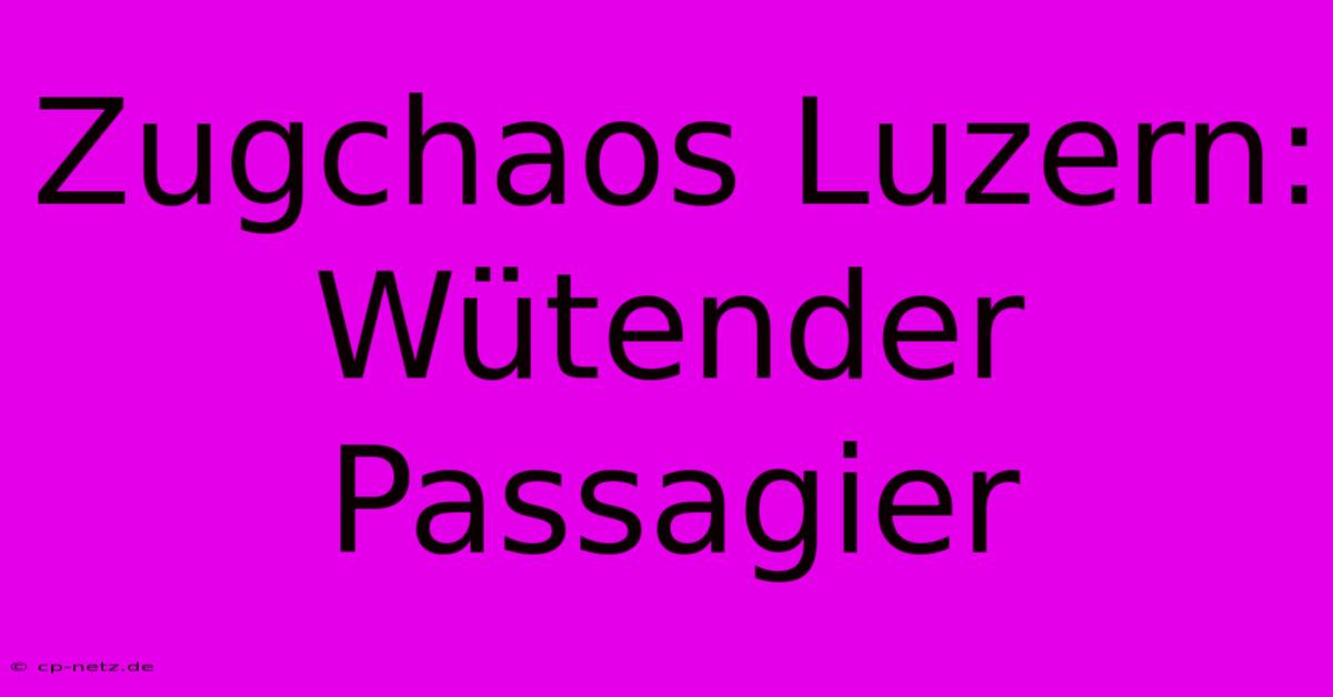 Zugchaos Luzern: Wütender Passagier