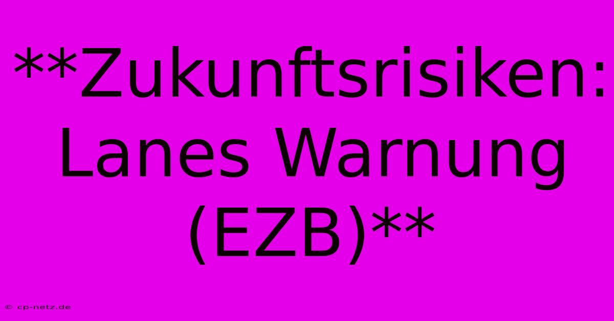 **Zukunftsrisiken: Lanes Warnung (EZB)**