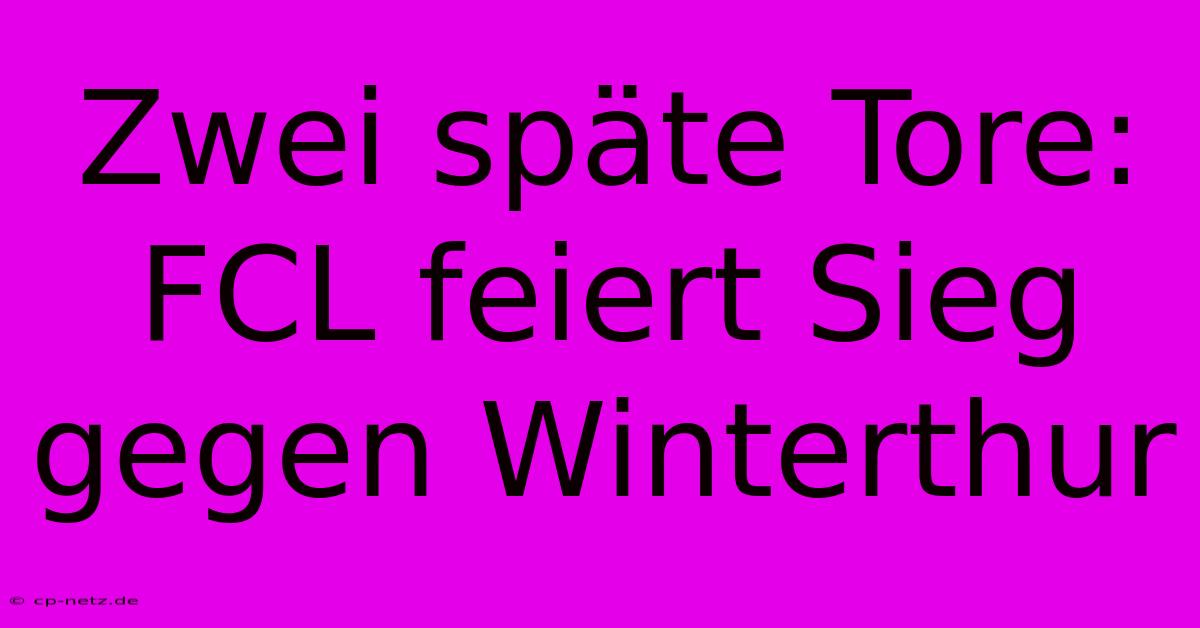 Zwei Späte Tore: FCL Feiert Sieg Gegen Winterthur