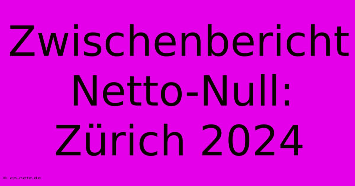 Zwischenbericht Netto-Null: Zürich 2024